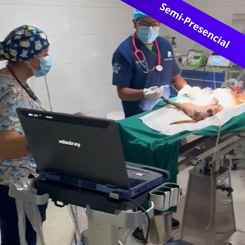 Curso de mantenimiento de equipos de veterinaria Quito